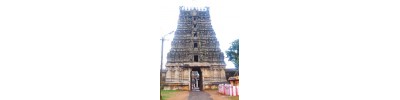 46. திருப்புறம்பயம்